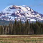 Mt._Adams_from_Foggy_Flat